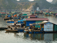 The bustling waters around Cat Ba bay teem with houseboats